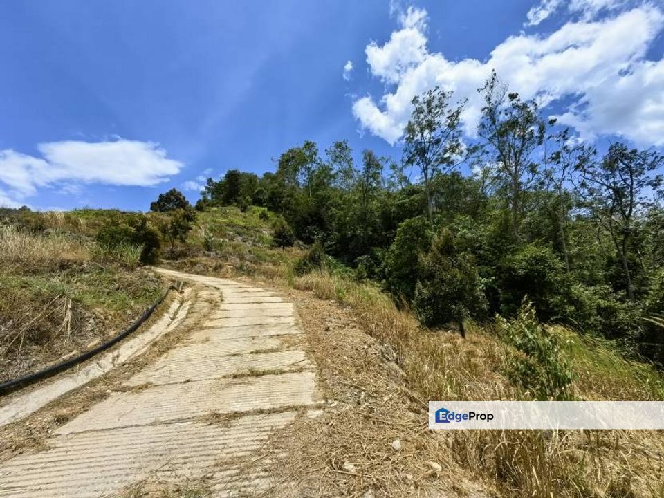 8 Acres Freehold Hilly Land Penjuring Bentong, Pahang, Bentong