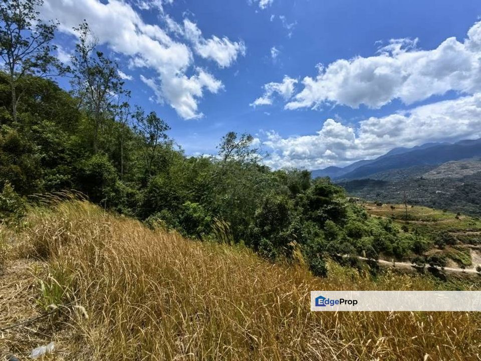 8 Acres Freehold Hilly Land Penjuring Bentong, Pahang, Bentong