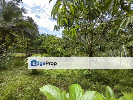 2.8 Acres Freehold Zone Residential Malay Reserved Land Sungai Buloh, Selangor, Sungai Buloh