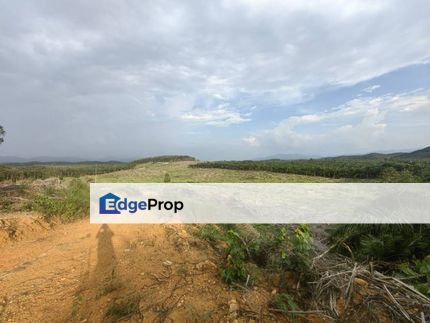 41 Acres Freehold Vacant Agriculture Land Simpang Pertang Jelebu, Negeri Sembilan, Jelebu