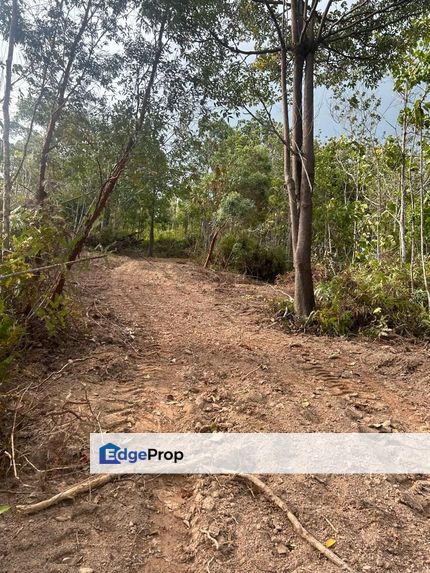 9 Acres Freehold Agriculture Land Lurah Bilut Hills Raub Bentong, Pahang, Raub
