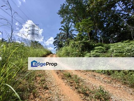 18 Acres Freehold Agriculture Land Cheka Kuala Lipis, Pahang, Kuala Lipis