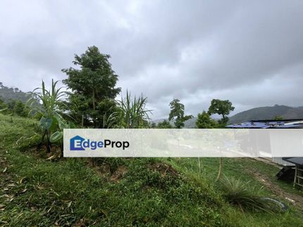 10 Acres Freehold Hilly Durian Farm Facing Mainroad Penjuring Bentong, Pahang, Bentong