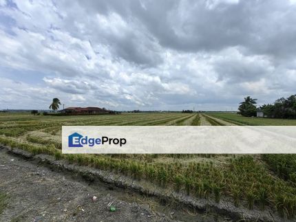 2.9 Acres Freehold Tanah Reserve Melayu Sawah Padi Tanjung Karang, Selangor, Tanjong Karang 