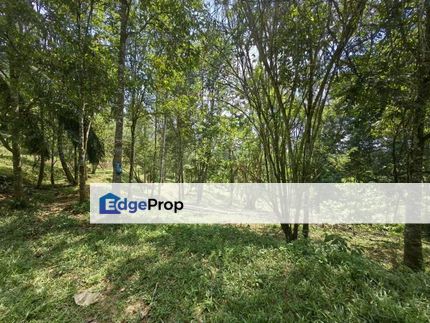 9 Acres Freehold Agriculture Land with Agarwood Kuala Lipis, Pahang, Kuala Lipis