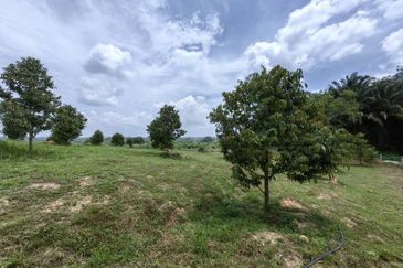 Batang Berjuntai @ Bestari Jaya