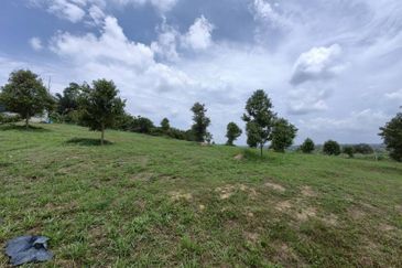 Batang Berjuntai @ Bestari Jaya