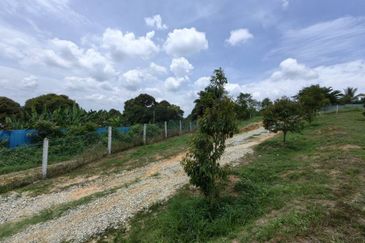 Batang Berjuntai @ Bestari Jaya