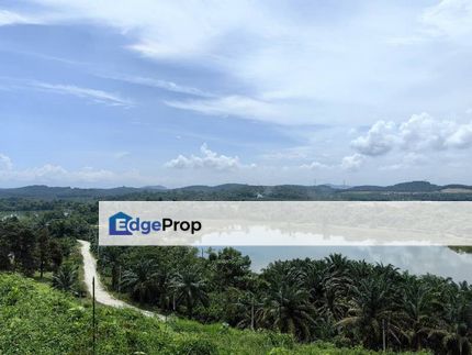 4.33 Acre Freehold Durian Farm Good View Bestari Jaya Kuala Selangor, Selangor, Kuala Selangor