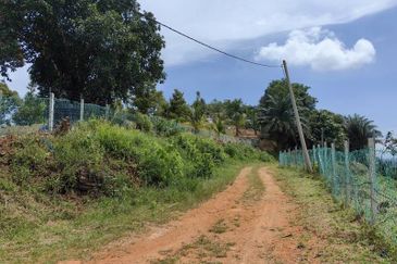 Batang Berjuntai @ Bestari Jaya