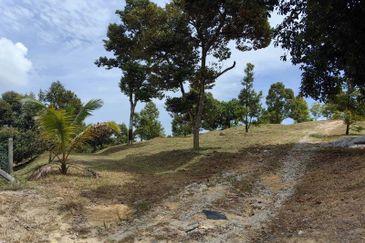 Batang Berjuntai @ Bestari Jaya