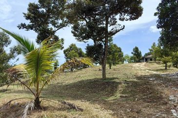 Batang Berjuntai @ Bestari Jaya