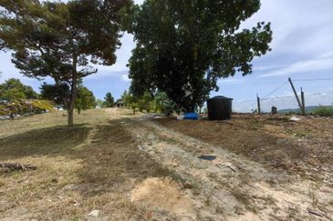 Batang Berjuntai @ Bestari Jaya