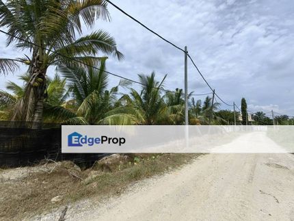 1 Acre Freehold Coconut Farm Good View Bestari Jaya Kuala Selangor, Selangor, Kuala Selangor