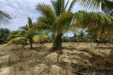 Batang Berjuntai @ Bestari Jaya