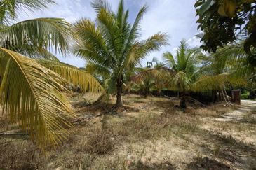 Batang Berjuntai @ Bestari Jaya