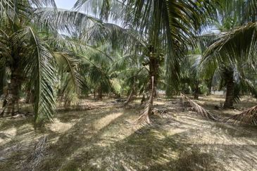 Batang Berjuntai @ Bestari Jaya