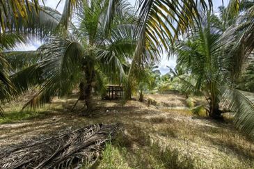 Batang Berjuntai @ Bestari Jaya