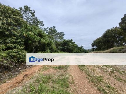 9 Acres Freehold Hilly Land Bandar Kuala Lipis, Pahang, Kuala Lipis
