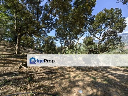 4 Acres Freehold Old Trees Durian Farm Cheroh Raub, Pahang, Sega