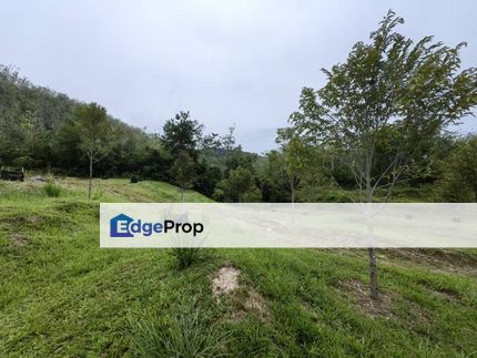 3 Acres Freehold Farm Facing Mainroad Kampung Kenaboi Kampung Kongkol, Negeri Sembilan, Jelebu