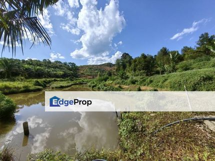 6 Acres Freehold Durian Farm Next to River Kechau Kuala Lipis, Pahang, Kuala Lipis