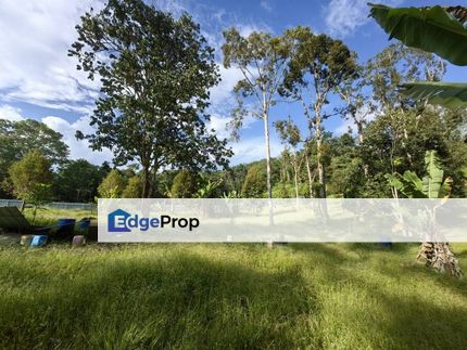 2 Acres Freehold Durian Farm Next to River Padang Tengku Kuala Lipis, Pahang, Kuala Lipis
