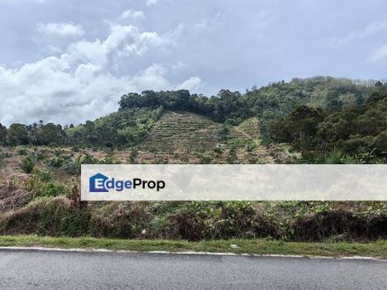 20 Acres Agricultural Palm Oil Mainroad Kenaboi Jelebu Kuala Klawang, Negeri Sembilan, Jelebu