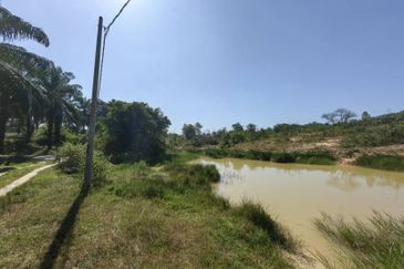 Batang Berjuntai @ Bestari Jaya