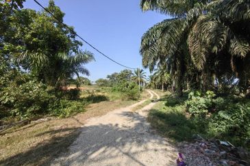 Batang Berjuntai @ Bestari Jaya