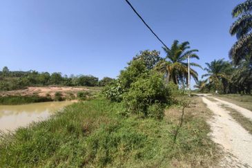 Batang Berjuntai @ Bestari Jaya