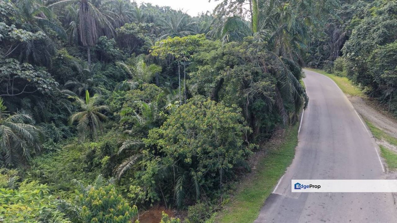 6.38 Acres Freehold Facing Mainroad Tanjung Besar Kuala Lipis, Pahang, Kuala Lipis