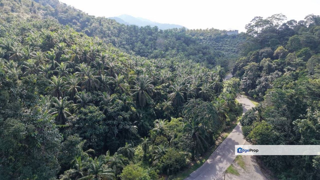 6.38 Acres Freehold Facing Mainroad Tanjung Besar Kuala Lipis, Pahang, Kuala Lipis