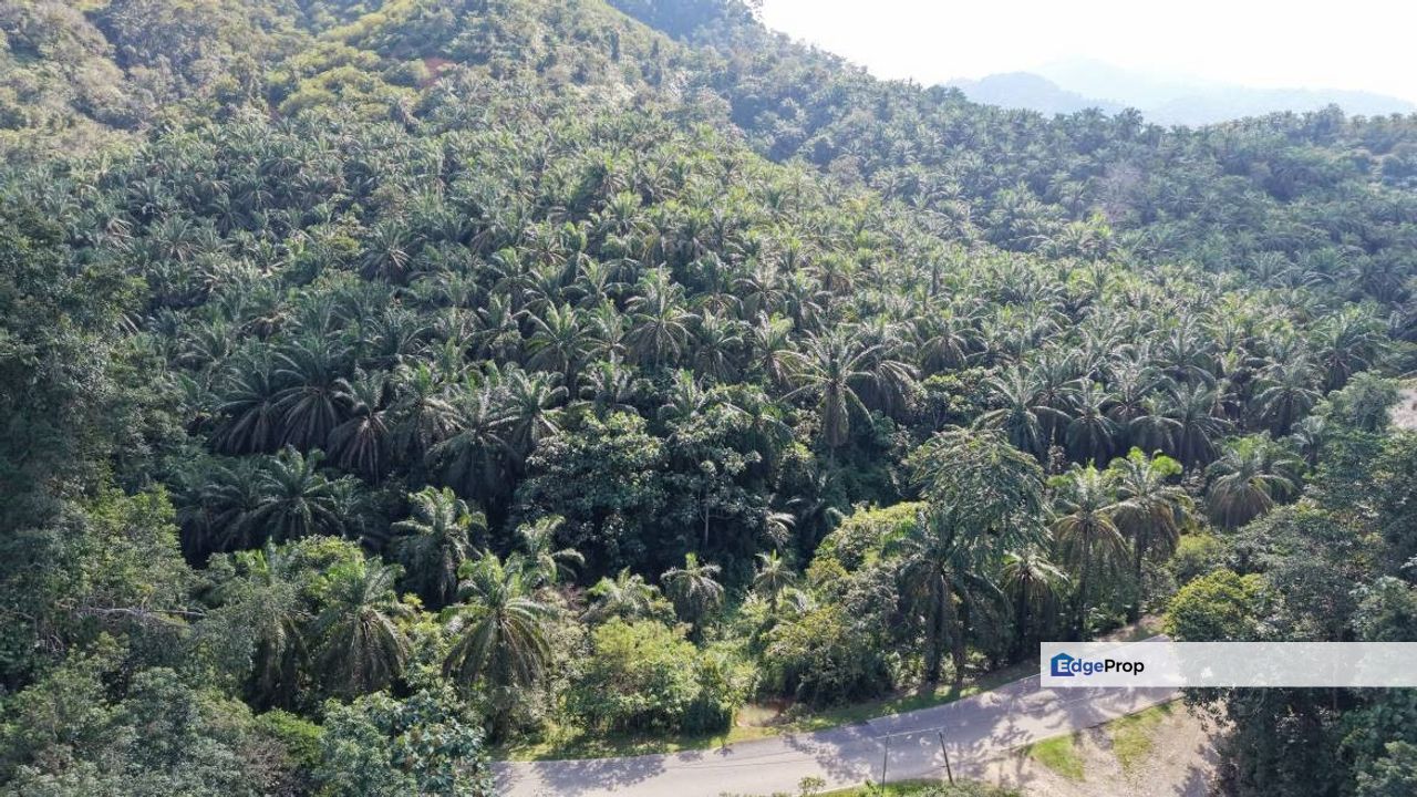 6.38 Acres Freehold Facing Mainroad Tanjung Besar Kuala Lipis, Pahang, Kuala Lipis