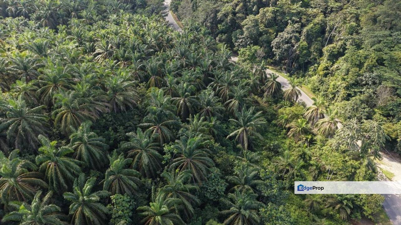 6.38 Acres Freehold Facing Mainroad Tanjung Besar Kuala Lipis, Pahang, Kuala Lipis