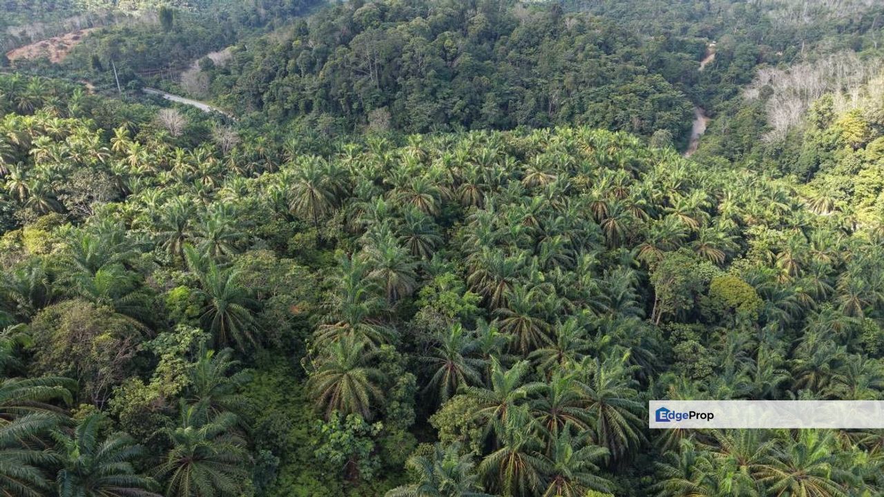 6.38 Acres Freehold Facing Mainroad Tanjung Besar Kuala Lipis, Pahang, Kuala Lipis