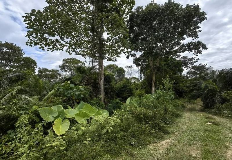 Mentakab Agricultural Land
