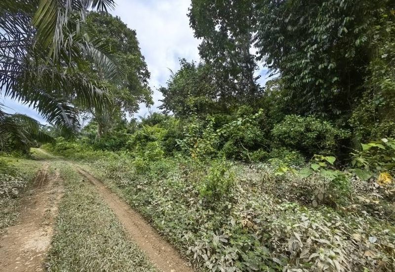 Mentakab Agricultural Land