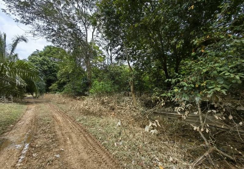 Mentakab Agricultural Land