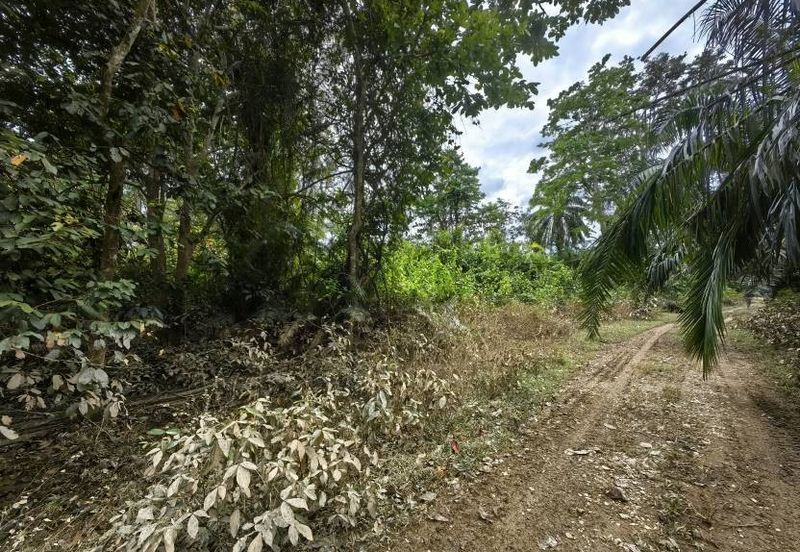 Mentakab Agricultural Land