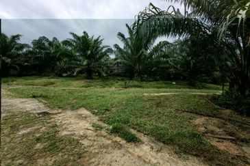 Batang Berjuntai @ Bestari Jaya