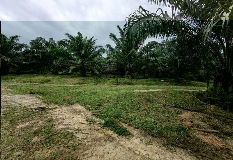 Batang Berjuntai @ Bestari Jaya