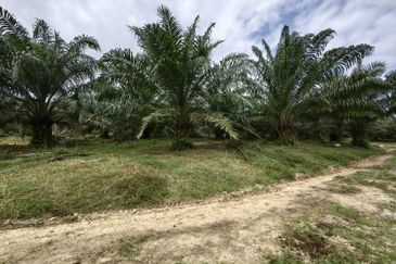 Batang Berjuntai @ Bestari Jaya