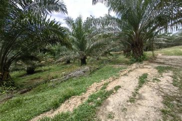 Batang Berjuntai @ Bestari Jaya