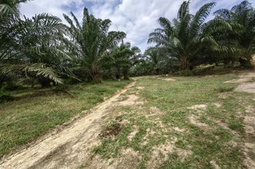 Batang Berjuntai @ Bestari Jaya