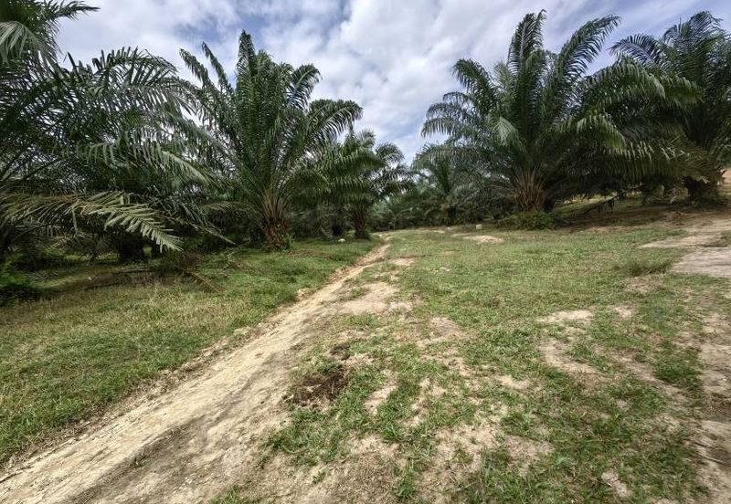 Batang Berjuntai @ Bestari Jaya