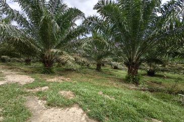 Batang Berjuntai @ Bestari Jaya