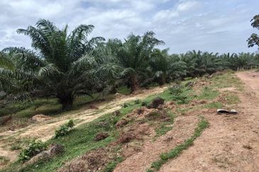 Batang Berjuntai @ Bestari Jaya