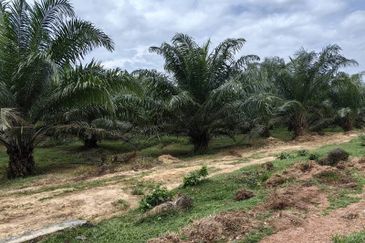 Batang Berjuntai @ Bestari Jaya