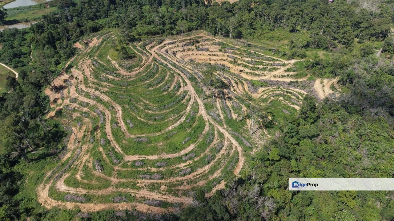 13 Acres Freehold Vacant Hilly Land Kampung Binjai Kuala Lipis, Pahang, Kuala Lipis